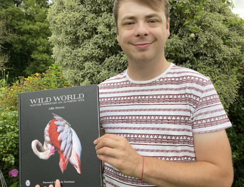 Wild World – Available Now